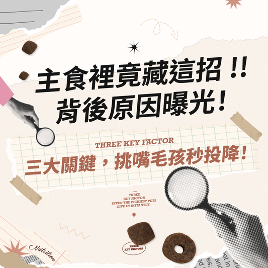 ALINA 艾莉納 寵物飼料 挑嘴貓狗 適口性 關鍵 分齡分顆粒