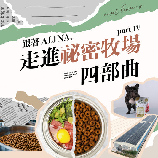 跟著 ALINA，走進秘密牧場四部曲：Part 4