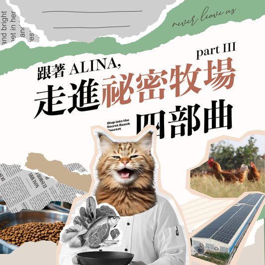 跟著 ALINA，走進秘密牧場四部曲：Part 3