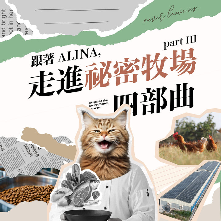 跟著 ALINA，走進秘密牧場四部曲：Part 3