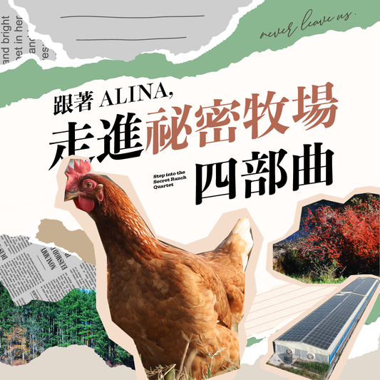 跟著 ALINA，走進秘密牧場四部曲