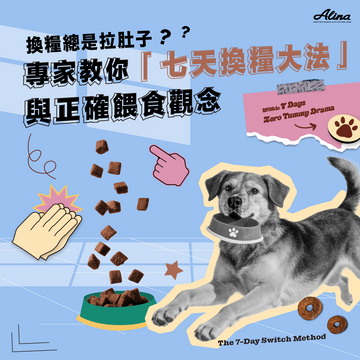 換糧總是拉肚子？專家教你「七天換糧大法」與正確餵食觀念