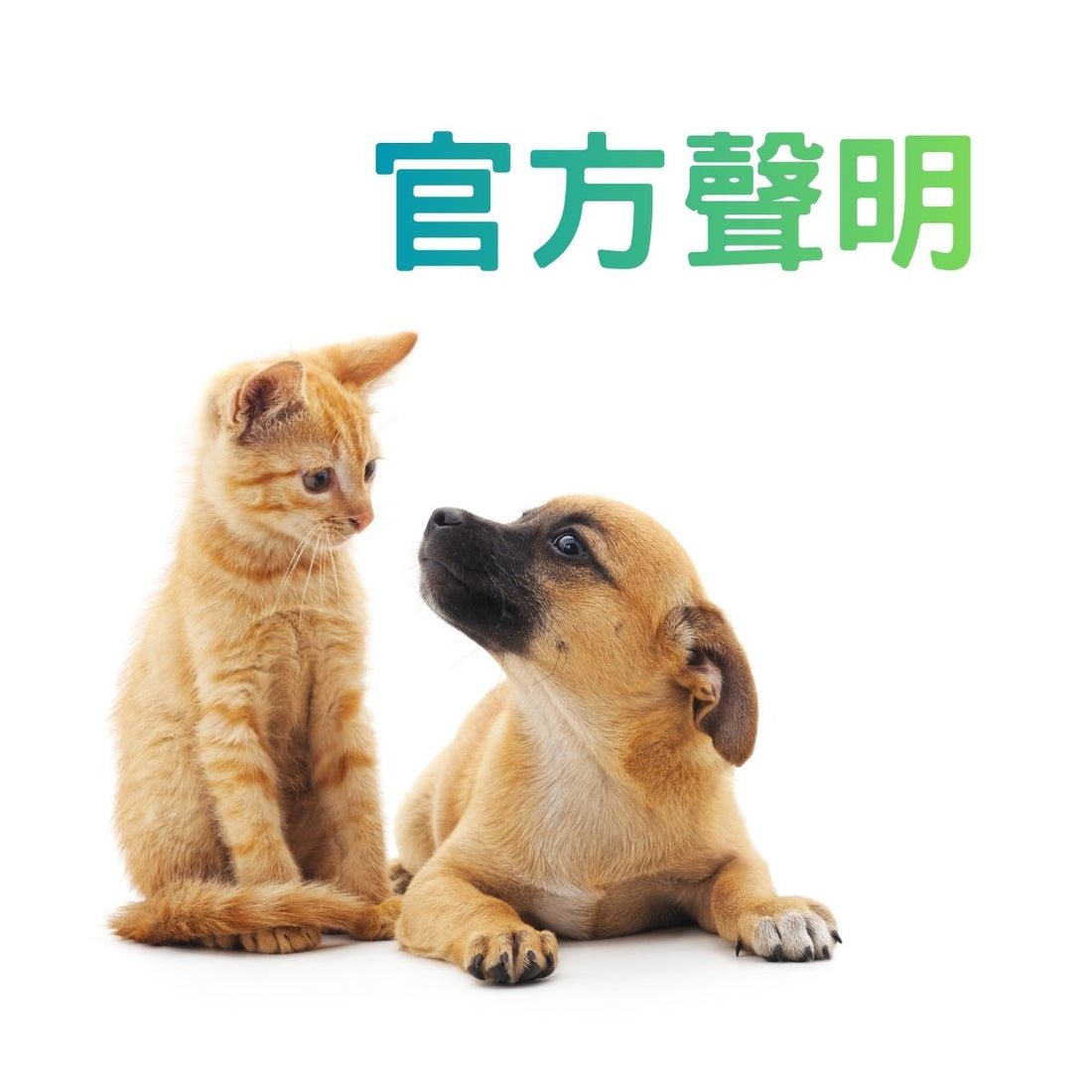 官方聲明：「無添加任何大豆油或沙拉油」