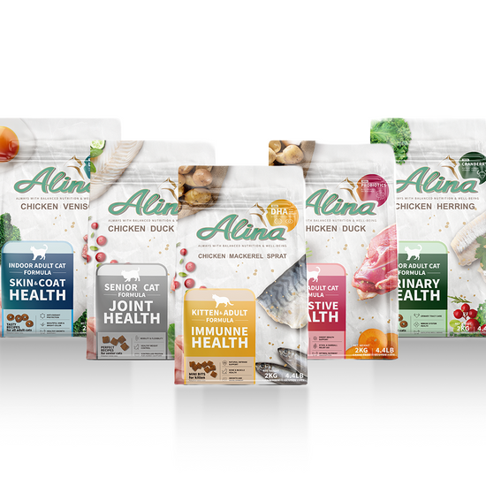 【全台熱銷破萬】主廚免運組｜貓咪食譜 2KG｜獨家贈好禮