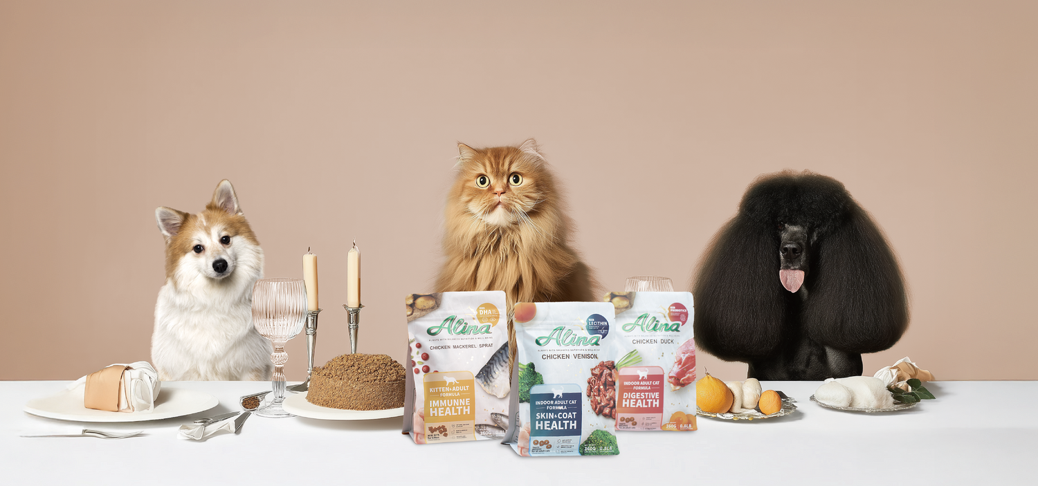 ALINA 艾萊納 寵物主廚快餐車