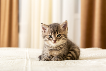 錯過，就無法重來的基礎建設