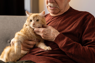 讓牠老得更慢、更舒適